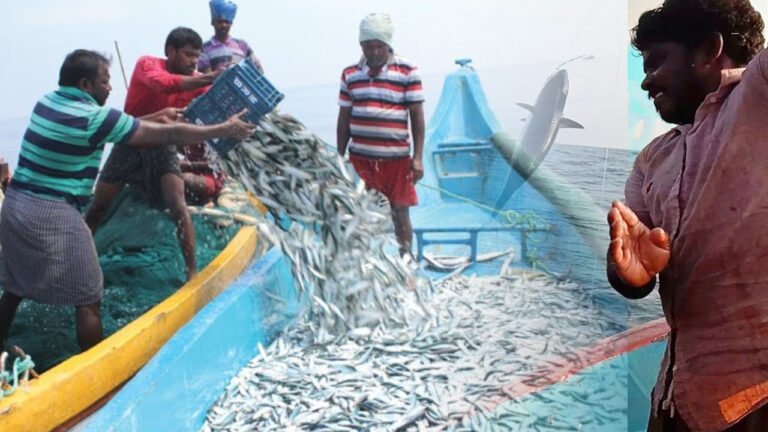 {DAAWO MUQAALKA} Kaluun-kii Soomaaliya ajaanib ayaa xaalufisay” Kaluumaysatada soomaaliyeed oo baaq udiray DF.