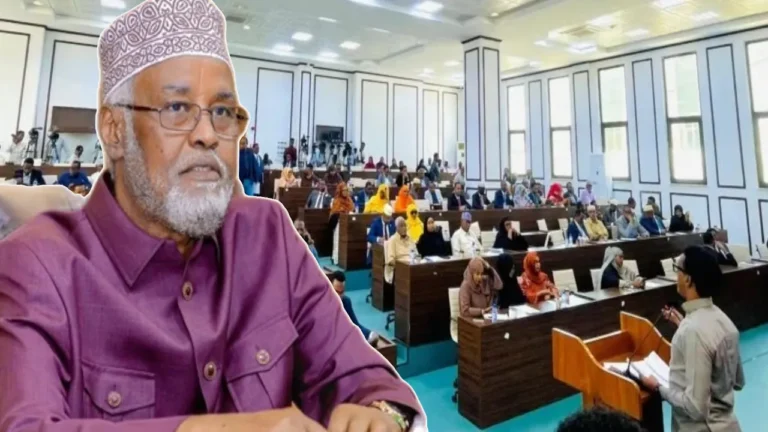 {DAAWO MUQAALKA} Maxaay Tahay Sababta Axmad Madoowe Iskugu Yeeray Xildhibaanada Ku Matalo Doowladda?