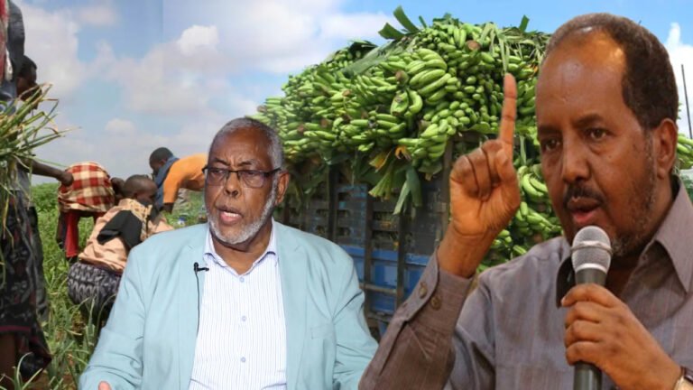 {DAAWO MUUQAALKA} Maxay tahay fariinta loo diray madaxda dowladda ee ku aadan Beeralayda Soomaaliyeed?