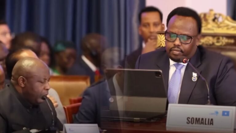 {DAAWO MUQAALKA} Raisul wasaare Saalax “Dimuqraddiyeynta Dalka iyo Dhameystirka Dastuurka Masuliyad ayaa naga saaran”