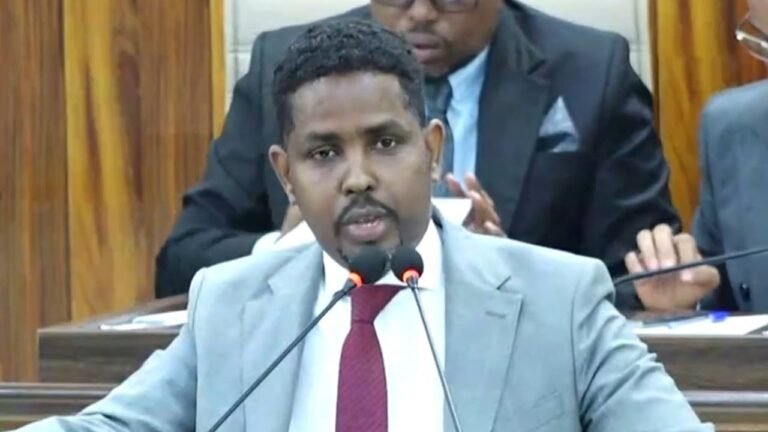 {DAAWO MUQAALKA} Senator Abdiweli Garyare”Hadaan nahay dhalinyarada waxaan nagula cariiriyay Da’da Madaxweynaha”