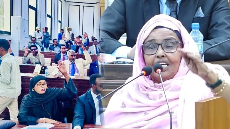 {DAAWO MUQAALKA} Seylac haddaan tago waan ogahay doorasho qof iyo cod ah la igamasoo dooranayo “Xildhibaan Seynab”