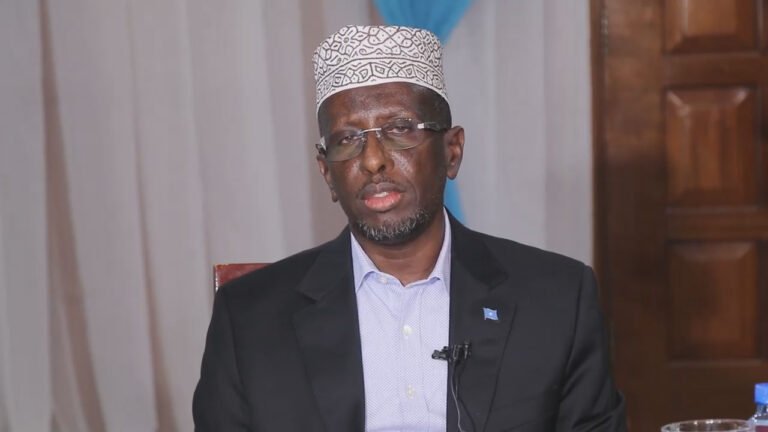 Somali opposition party condemns clashes in Gedo, accuses federal government of escalation