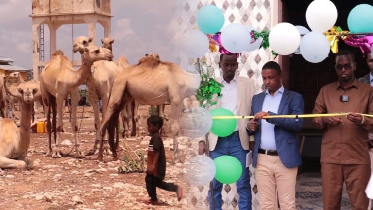 {DAAWO MUQAALKA} Shirkadsha Ganacsiga oo Billaabay ineey maalgashi ku Sameeystaan Degmada Aadan Yabaal.