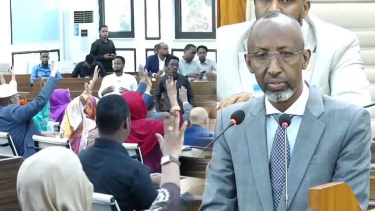 Somalia Education minister commits to ensure quality learning.