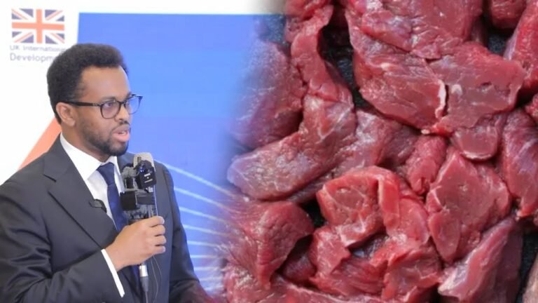 {DAAWO MUQAALKA} Waxaan u soo jeedinayaa halkii ay Xoolaha nool ka dhoofin lahaayeen in ay Hilibka dhoofiyaan.