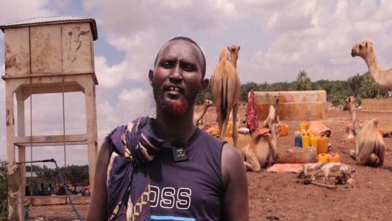 {DAAWO MUUQAALKA}  Xoola dhaqatada oo wajahaya dhibaato adag.