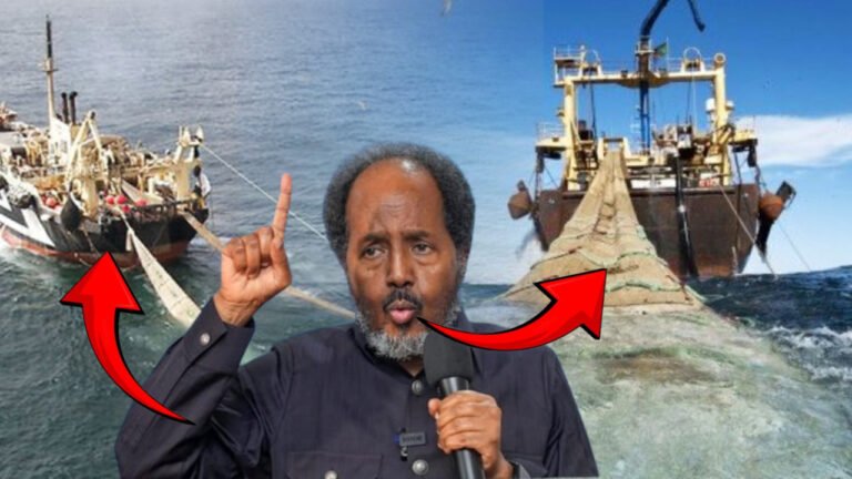 {DAAWO MUQAALKA} kaluumaysatada Puntland iyo Galmudug oo qayla dhaan u diray Dowladda Fadaraalka.