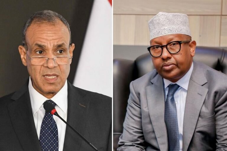 Somali Foreign Minister Engages in High-Level Talks with Egyptian Counterpart in Cairo