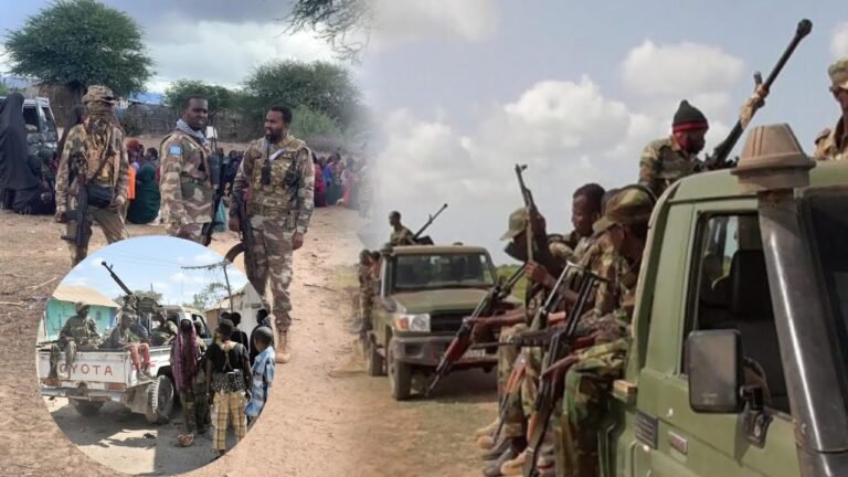 {DAAWO MUQAALKA} Ciidamada Xasilinta Qoryooleey Oo gacanta kusoo Dhigay Dad hurinayey Colaada Degmada.