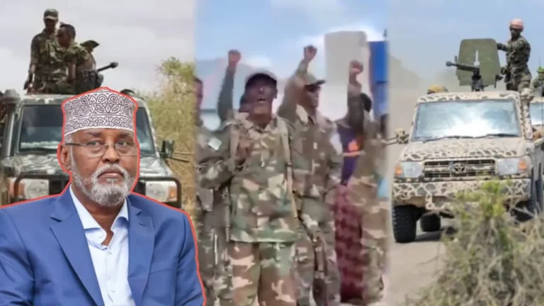 {DAAWO MUQAALKA} Ciidamadii Jubbalabd ee ku sugan hoosingoow oo ku dhawaaqay in ay ku biireen DFS