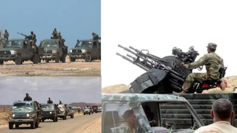 {DAAWO MUQAALKA} Ciidamo ku sugan jiidaha dagaalka Ceerigaabo oo digniin Adag diray.