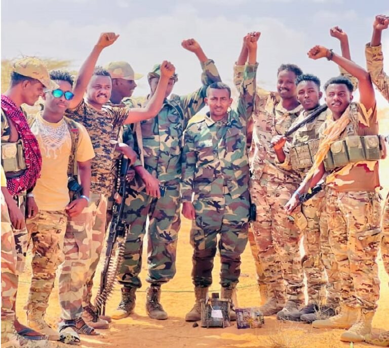 Somalia sacks defence minister amid US pressure over his Turkey ties