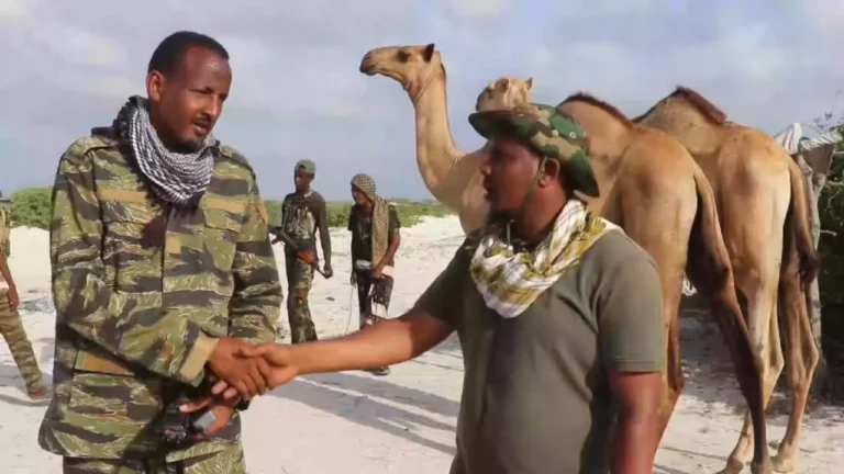 {DAAWO MUQAALKA} Deeq Geel ah oo Lagu Wareejiyay Ciidamada Difaaca Jubbaland.