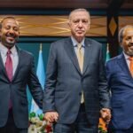 Ethiopia, Somalia reconciliation in Ankara