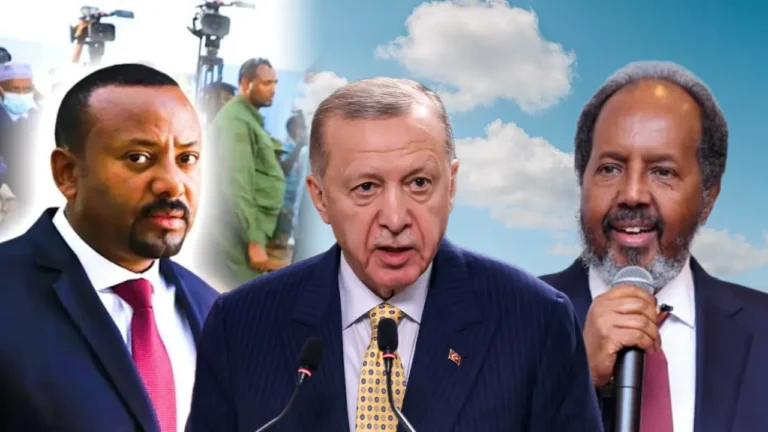 {DAAWO MUQAALKA} Maxaad kala socotaa xogta kulanka Mw Xasan iyo Rw Itoobiya?