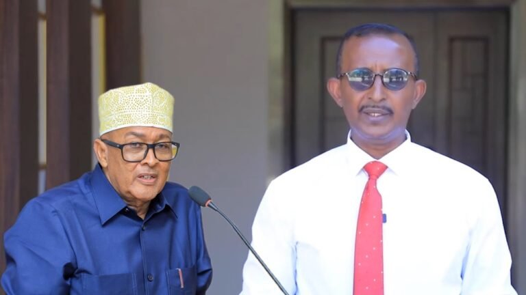 {DAAWO MUUQAALKA} Maxay tahay Wareegtada uu Maanta Soo saaray Madaxweyne Cirro?