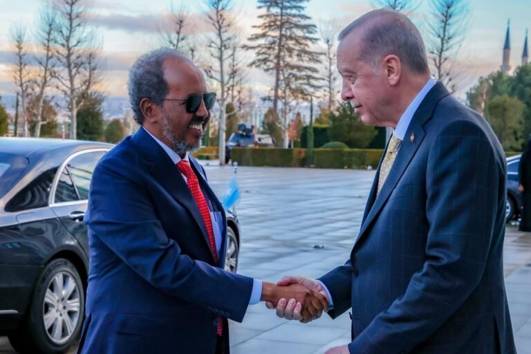 Somalia thanks Türkiye for support in security, counterterrorism.