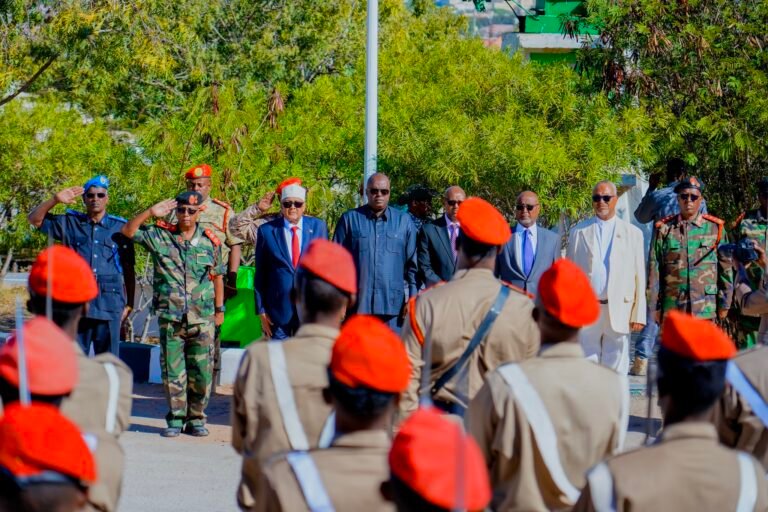 {DAAWO SAWIRADA} Madaxweyne Ciro Oo Kormeeray Taliska Guud Ee Ciidanka Somaliland.