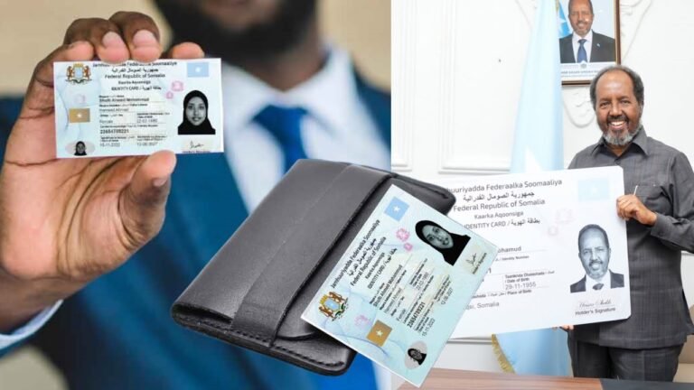 {DAAWO MUQAALKA}  Aqoonsiga Niiro Muxuu Faaido ah uu lee yahay.?