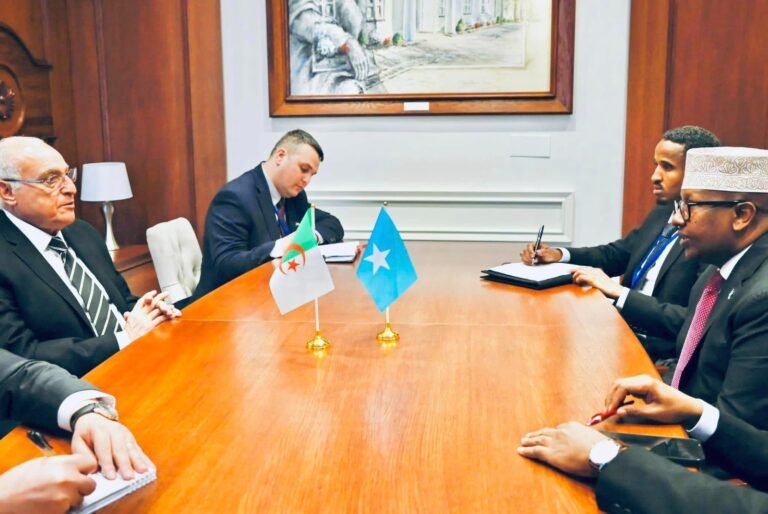 Waa Maxay Labada Arin oo aay Dowladda Aljeeriya ku Bogaadisay Soomaaliya?