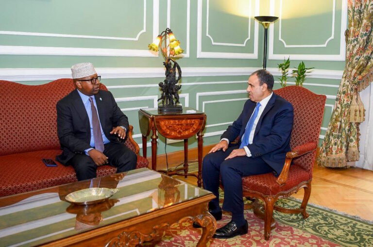 Somali and Egyptian Foreign Ministers Strengthen Bilateral Ties.