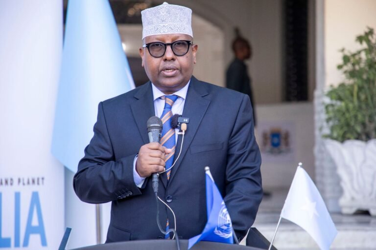 Somali Foreign Minister confirms Egypt’s participation in AUSSOM mission