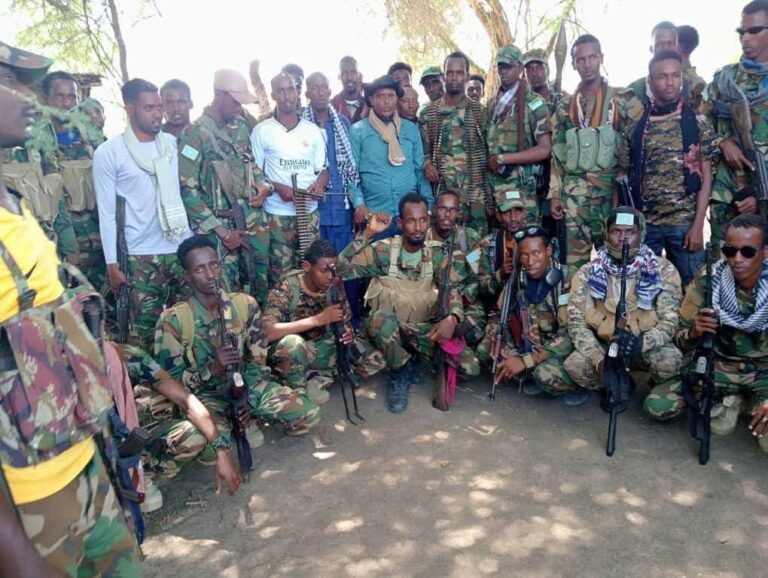 {DAAWO SAWIRADA} Jubbaland oo cafisay ciidan ka goostay ee ku biiray kuwa DFS.