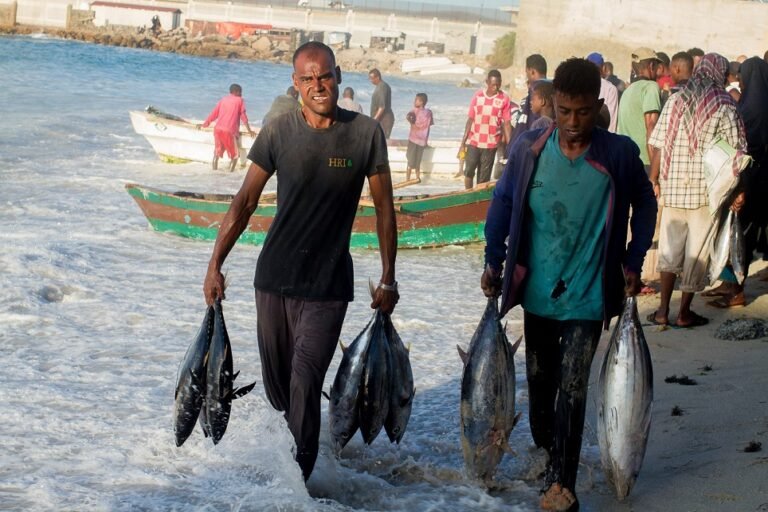 Walaac laga muujiyay Kalluumeysiga sharci-darrada ah ee biyaha Soomaaliya.
