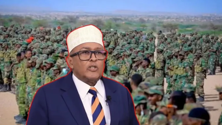 {DAAWO MUQAALKA} Madaxweynaha Somaliland oo magacaabay Guddida Dib-u habaynta iyo Casriyaynta Ciidamada