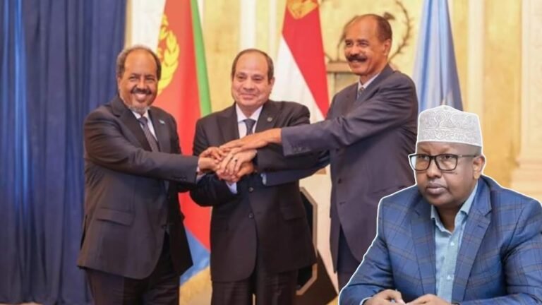 {DAAWO MUUQAALKA} Masar, Soomaaliya iyo Ereteriya oo Manta shir uga Furmayo Qaahira.