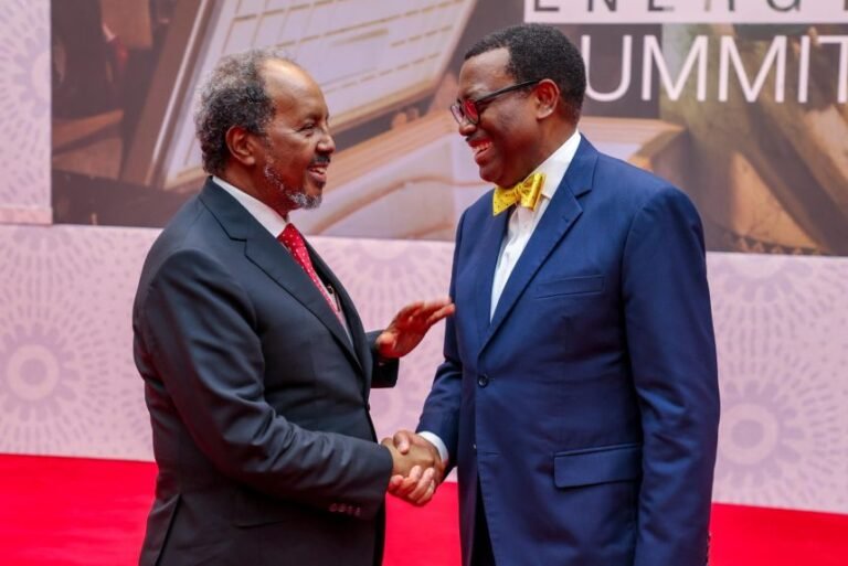President Hassan Sheikh Mohamud Meets AfDB President to Strengthen Investment and Development Cooperation.