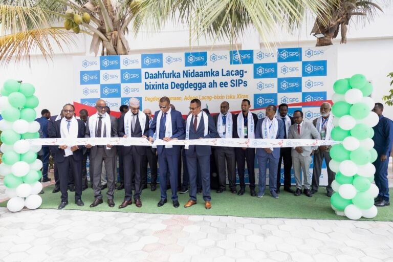 {DAAWO MUQAALKA} Nidaamka lacag bixinta SIPS ee Somalia laga daahfuray.