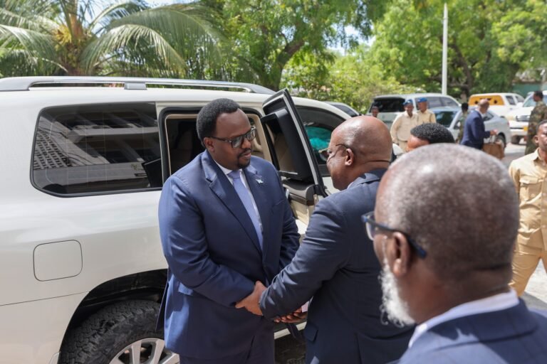 {DAAWO SAWIRADA} RW Kuxigeenka Dalka oo kormeer ku Tagay xarunta Wasaaradda Warfaafinta, Dhaqanka iyo Dalxiiska XFS