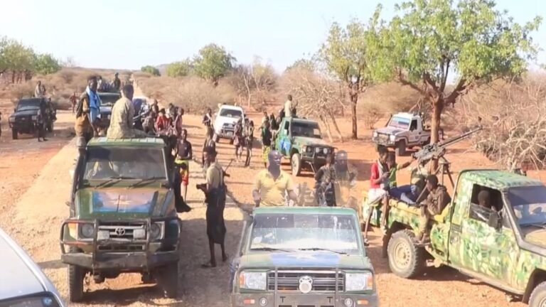 {DAAWO MUQAALKA} Waa imisa Tirada Ajaanibta Lagu Dilay Dagaalka Gobolka Hiiraan.?