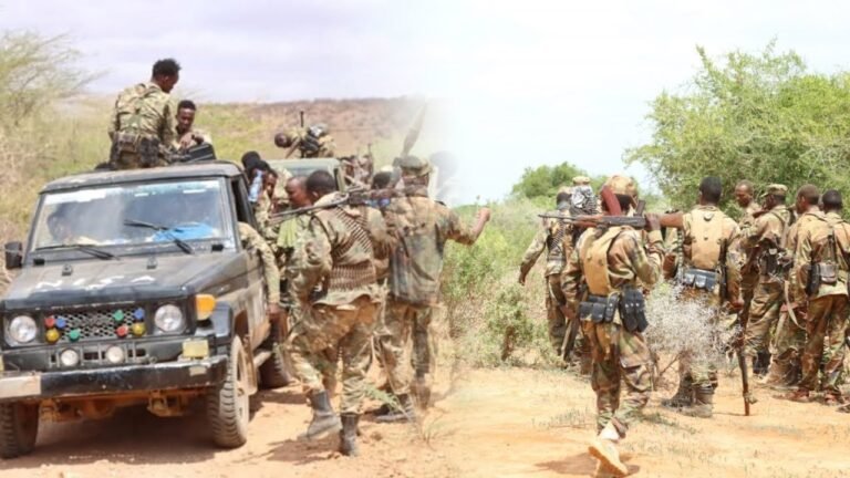 {DAAWO MUUQAALKA}  Dowlada Soomaaliya oo 130 AS ah ku dishay dagaaladii ka dhacay Sh/dhexe