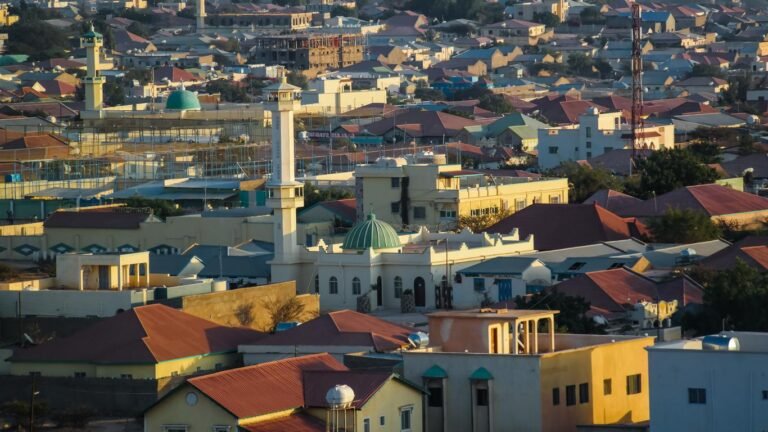 FAAH FAAHIN Askari dilal argagax leh ka geystay Magaalada Hargeysa.