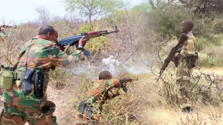 FAAH FAAHIN Howlgalo Culus oo ka socda Sh/dhaxe.