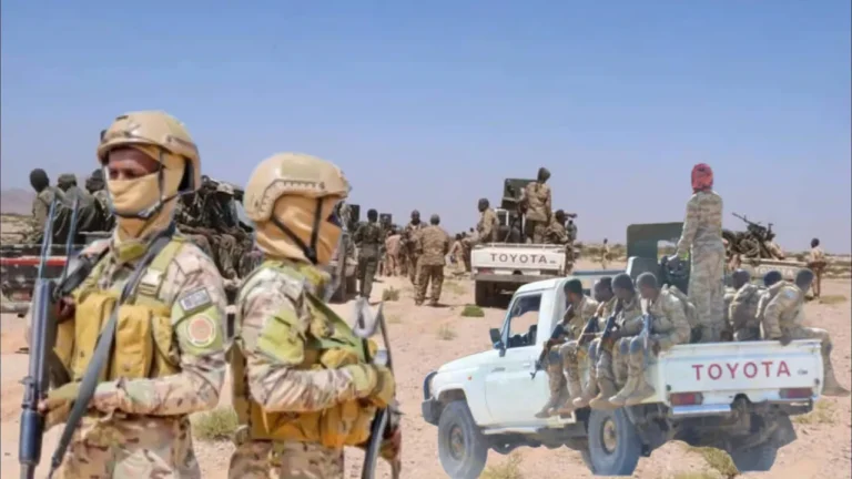 {DAAWO MUQAALKA} Puntland oo Billowday qorshe looga hortagayo Dadka ajaanibta ah.