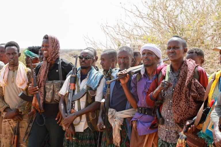National Armed Forces Launch Major Operation to Combat Extremists in HirShabelle.