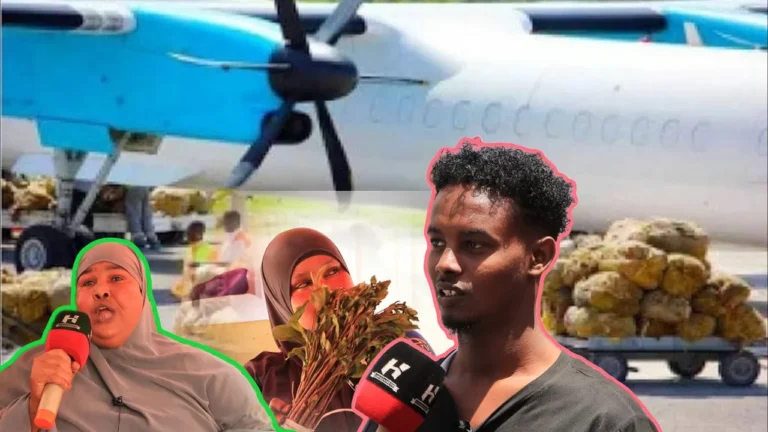 {DAAWO MUUQAALKA} Saameynta qaadka iyo Haweenka Ka ganacsado.