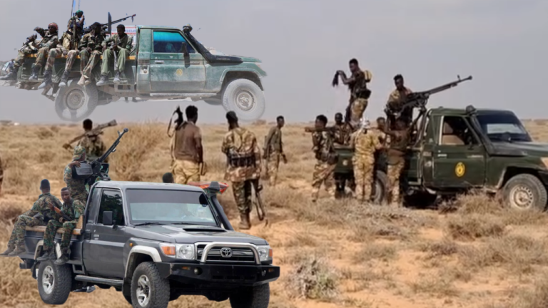 Dhows, drones, and dollars: Ansar Allah’s expansion into Somalia.