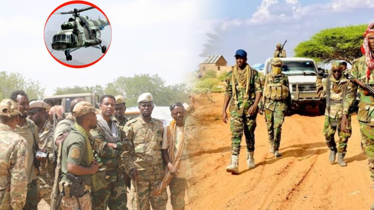 {DAAWO MUQAALKA} Maxay Muhiim ugu tahay Dowladda soomaaliya Duqeeymaha Cirka ee AS.