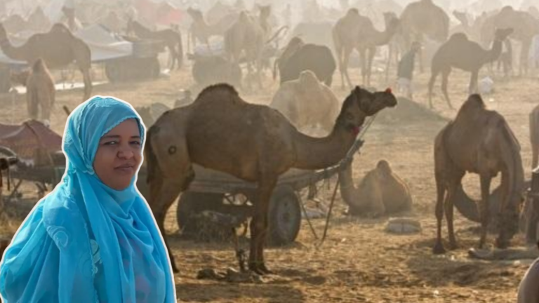 {DAAWO MUQAALKA} Maxay tahay shaqooyinka Raga ay qabtaan oo Haweeneydaan ay u barertay ineey qabato.?