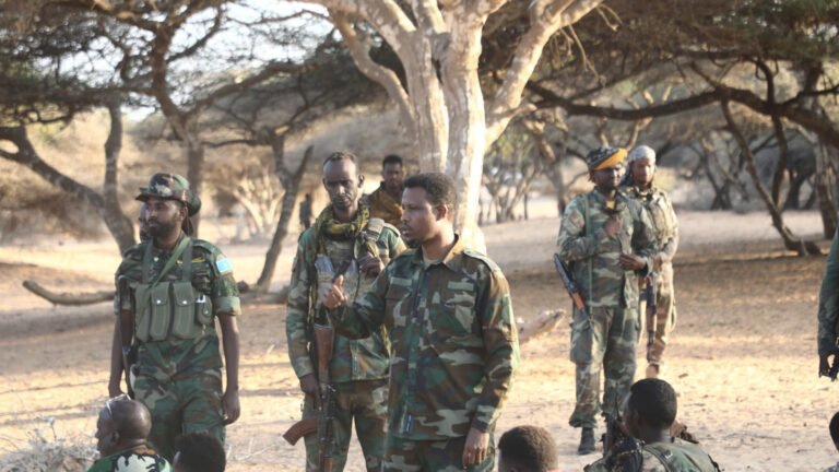 {DAAWO MUQAALKA} Howlgalo ka dhan AS oo ka socda Furimaha hore ee Shabelada Dhexe.