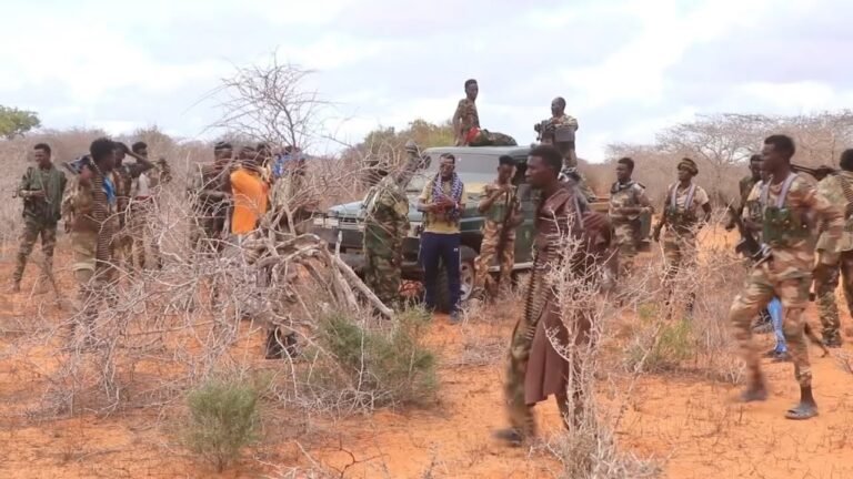 {DAAWO MUQAALKA} Dowladda Soomaliya oo War Kasoo Saartay Duqeen ka Dhacday SH/Hoose