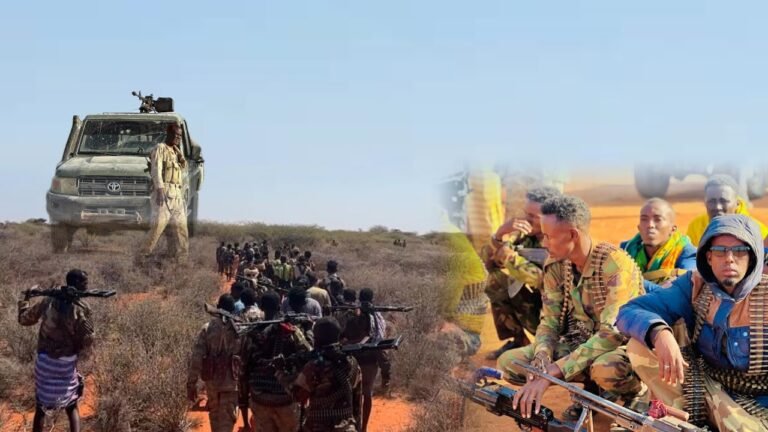 Ciidanka Xoogga Dalka Soomaaliyeed iyo Ciidanka Deegaanka oo fuliyay howlgal qorsheysan.