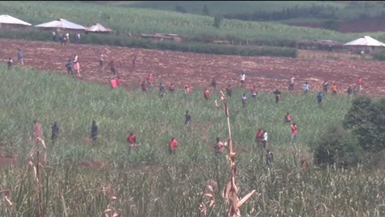 Muxuu Yahay Isku dhaca ka dhashay Lo’ la kala xaday oo ka dhacay Ismaamulka Kisii?