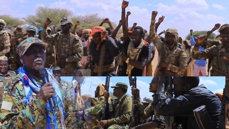 {DAAWO MUQAALKA} Dareen sidee ah ayeey ka Qabaan Dagaalka AS Qeybaha kala Duwan ee Bulshada?