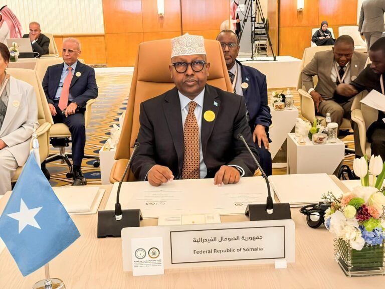 Somalia reaffirms commitment to migration cooperation at Khartoum Process Conference in Cairo